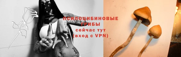 гашик Абаза