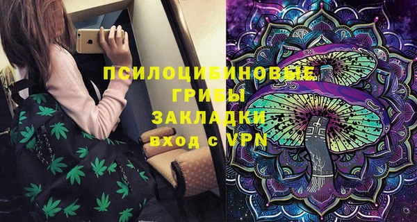 соль ск Алексеевка