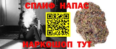 индика Гусев