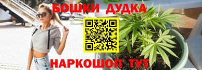 индика Гусев
