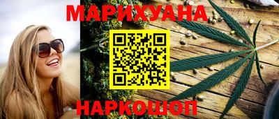 индика Гусев