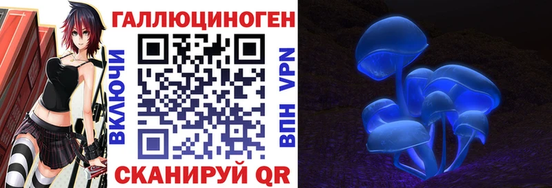 blacksprut tor  Псков  площадка наркотические препараты  Псилоцибиновые грибы мицелий 