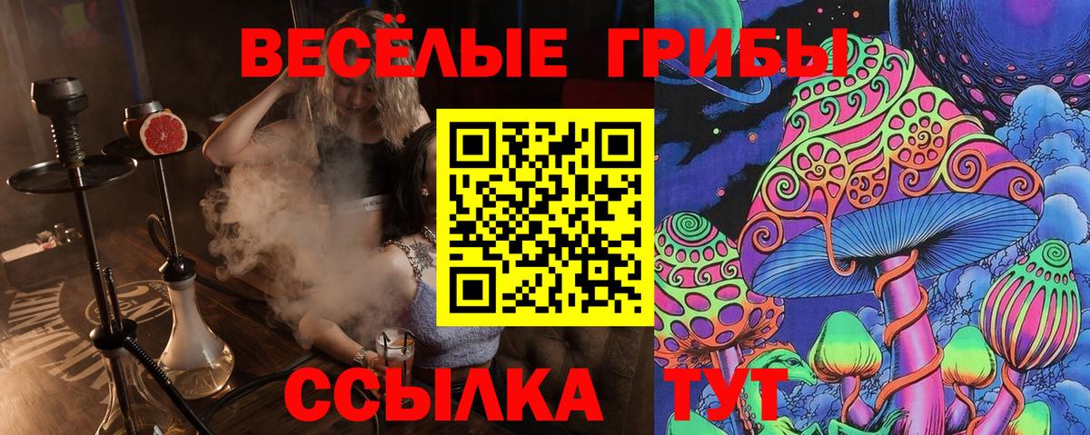 Псков  Псилоцибиновые грибы Magic Shrooms  Вход с VPN 
