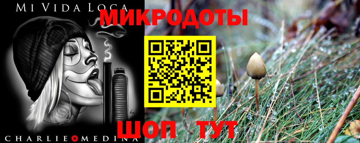 Галлюциногенные грибы Cubensis Псков